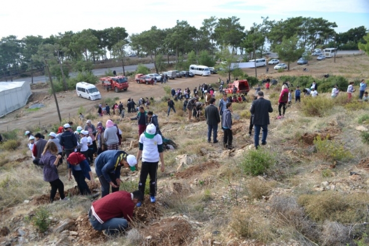 Bozyazı’da Öğretmenler Hatıra Ormanı Oluşturdu