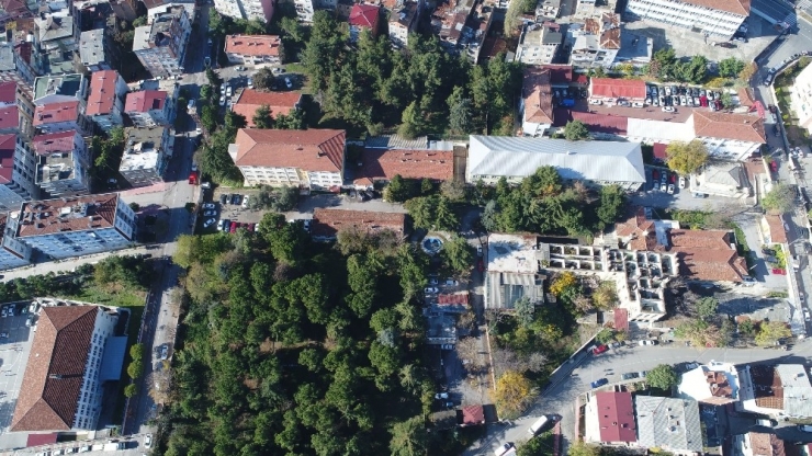 Samsun’un Akciğeri Olacak