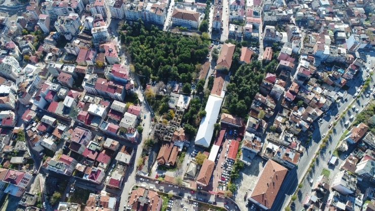 Samsun’un Akciğeri Olacak