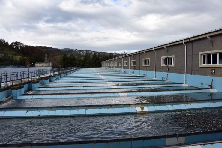 İçme Suyu Elektrik Üretecek