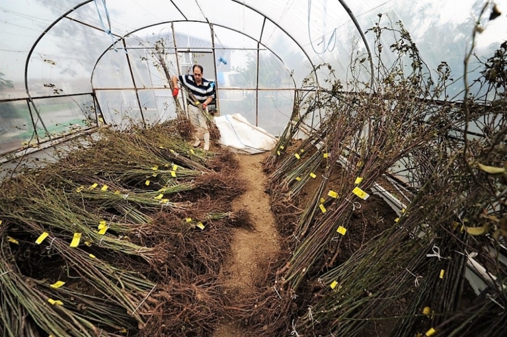 Samsun’da Tarıma Destek 800 Bin Lirayı Buldu