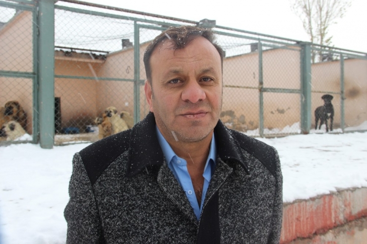 Sokak Hayvanlarına Isıtıcılı Koruma