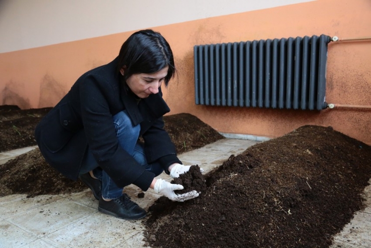 Aeü Projesine Kop’tan Destek