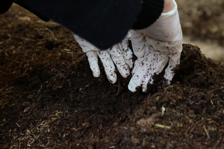 Aeü Projesine Kop’tan Destek