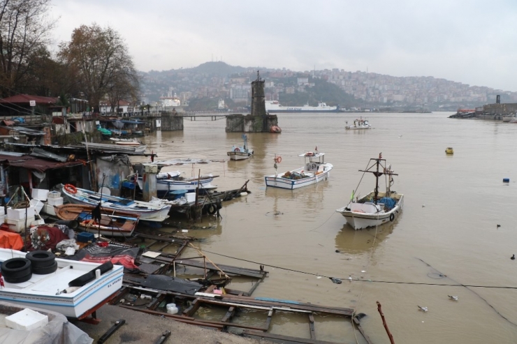 Zonguldak Limanı Sarıya Boyandı