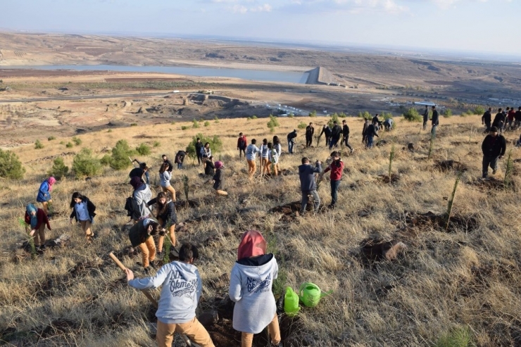 Öğretmenler Adına Fidan Dikildi