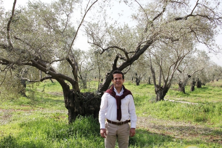 Zeytinpark Cazibe Merkezi Oluyor