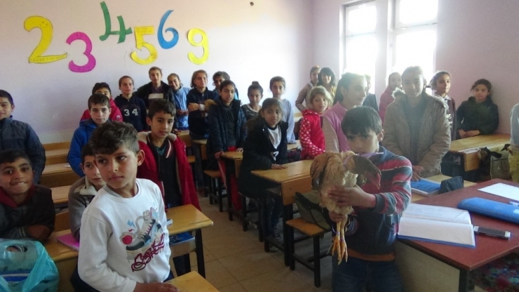 En Güzel Öğretmenler Günü Hediyesi