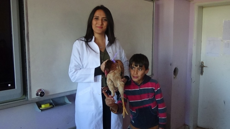 En Güzel Öğretmenler Günü Hediyesi