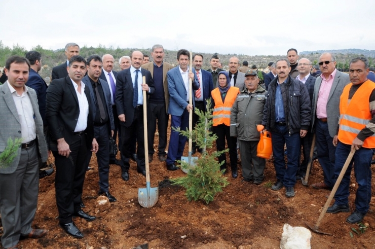 Erdemli’de Öğretmenlerin De Hatıra Ormanı Var