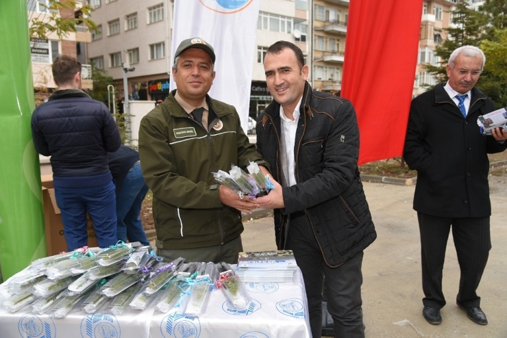 Orman Teşkilatından Öğretmenlere En Güzel Hediye