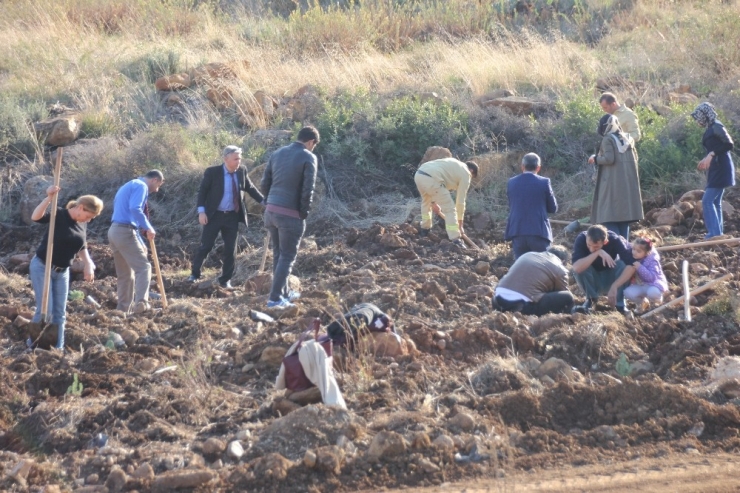 Antakya’da Yanan Yerler Öğretmenlerin Fidanlarıyla Yeşerecek