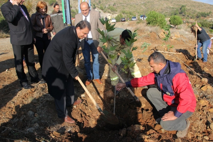 Antakya’da Yanan Yerler Öğretmenlerin Fidanlarıyla Yeşerecek