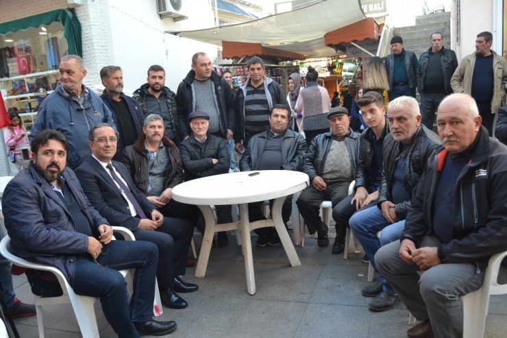 Ayvalık’ta Develer Görücüye Çıktı