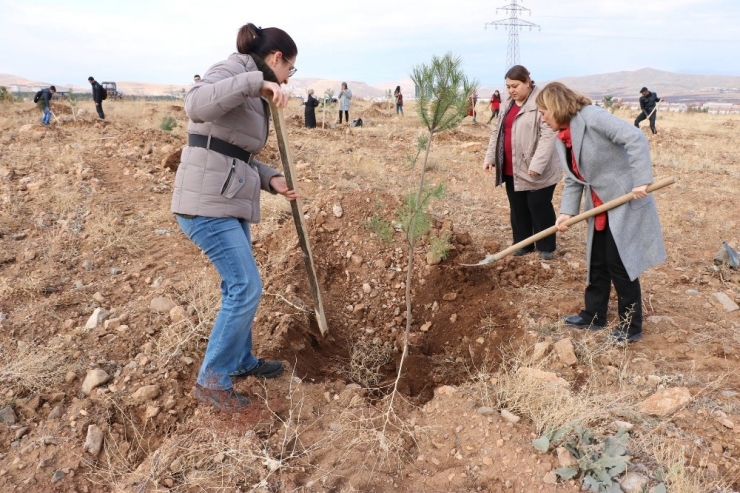 Üniversite Öğrencilerinden Anlamlı Etkinlik