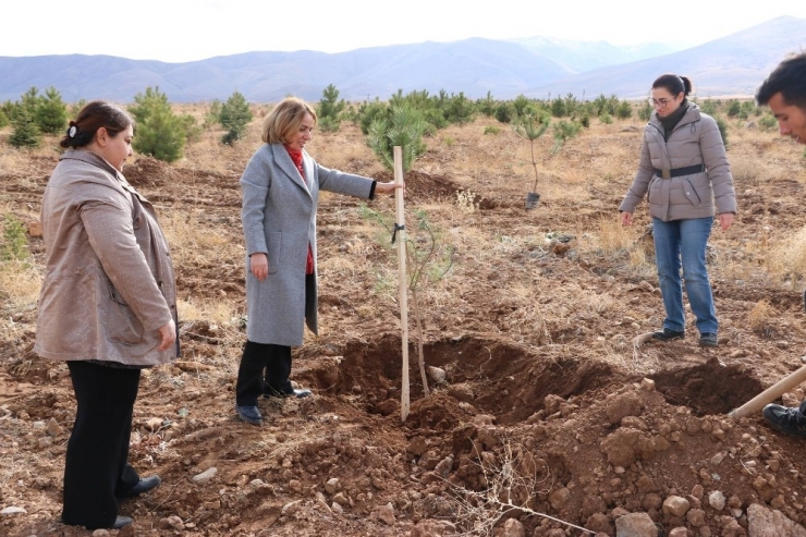 Üniversite Öğrencilerinden Anlamlı Etkinlik