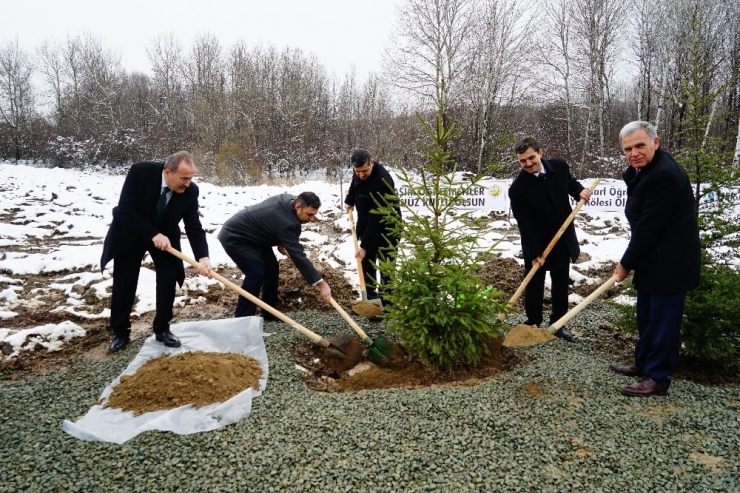 Kastamonu’da “24 Kasım Öğretmenler Günü Hatıra Ormanı” Oluşturuldu