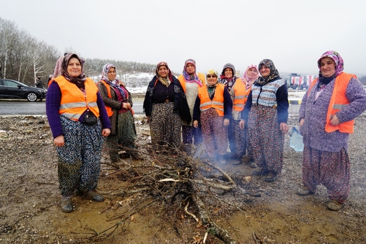 Kastamonu’da “24 Kasım Öğretmenler Günü Hatıra Ormanı” Oluşturuldu