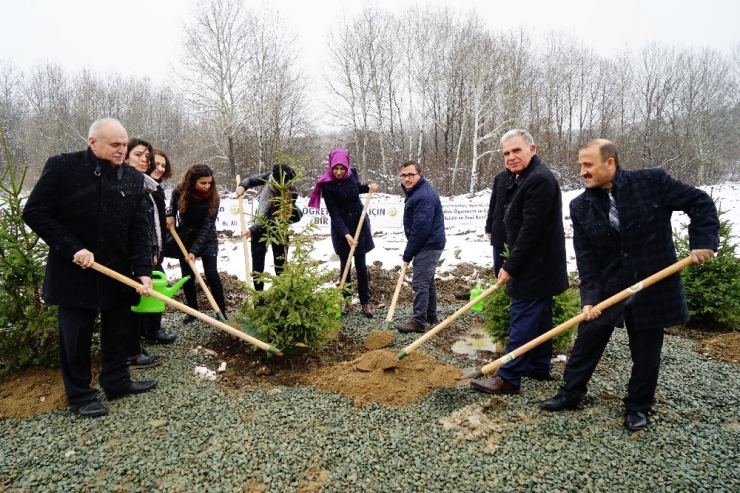 Kastamonu’da “24 Kasım Öğretmenler Günü Hatıra Ormanı” Oluşturuldu