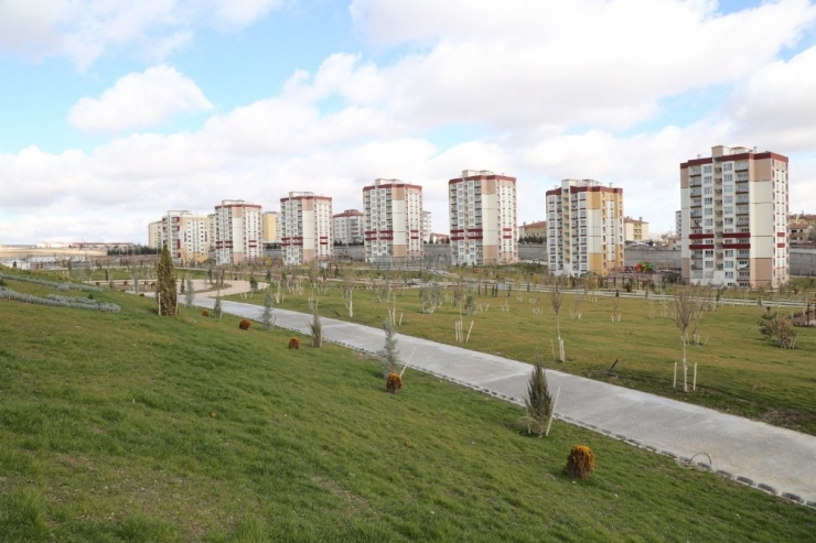 Niğde Belediye Başkanı Özkan Kentsel Dönüşümde İncelemelerde Bulundu