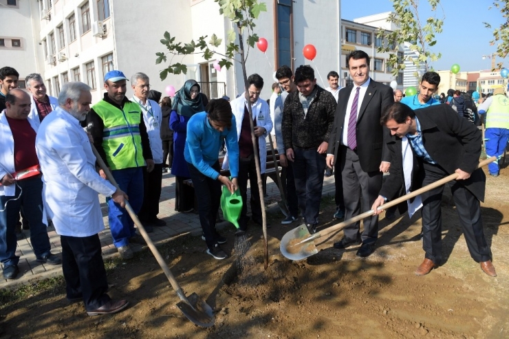 Osmangazi’den Öğretmenler İçin Fidan
