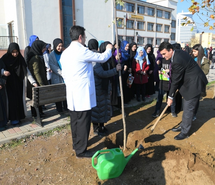 Osmangazi’den Öğretmenler İçin Fidan