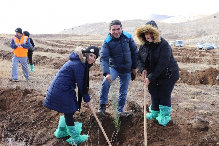 Her Öğretmene Bir Fidan