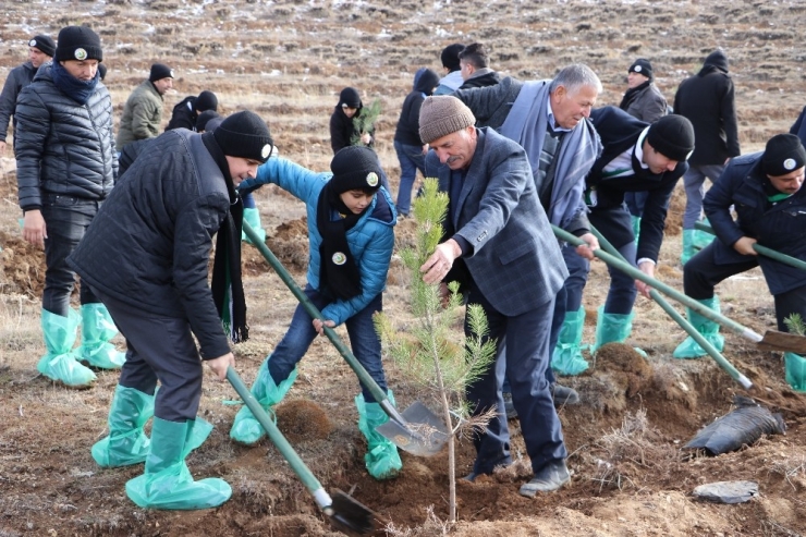 Her Öğretmene Bir Fidan