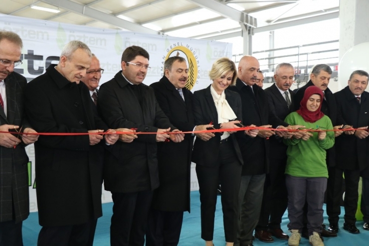 Bakan Eroğlu Defne Yaprağı Fabrikasının Açılışını Yaptı