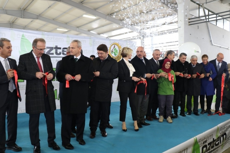 Bakan Eroğlu Defne Yaprağı Fabrikasının Açılışını Yaptı
