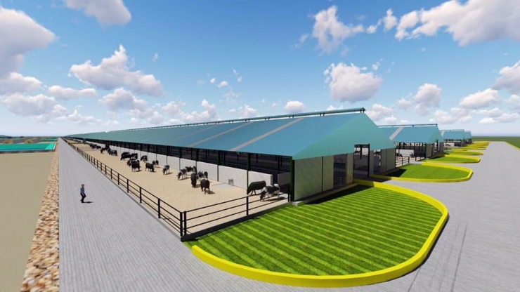 Ucuz Et Ve Süt Üretimi İçin Çiftlikbank’tan, Konya’ya Türkiye’nin En Büyük Çiftliği