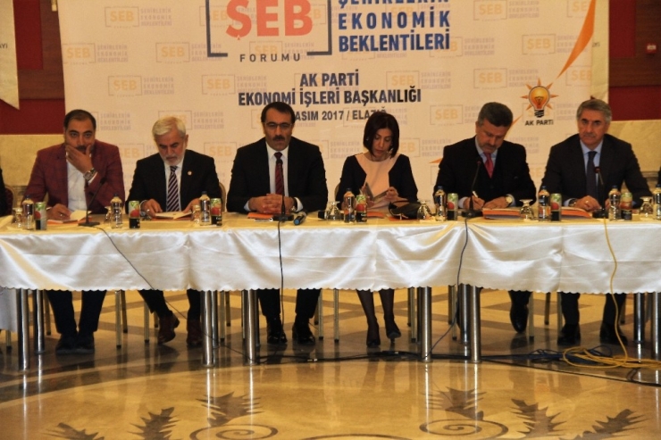 Elazığ’da "Şehirlerin Ekonomik Beklentileri Forumu" Projesi Toplantısı