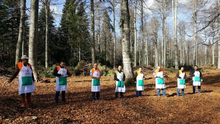 3 Ton Kayın Tohumu Ekimi Yapılacak