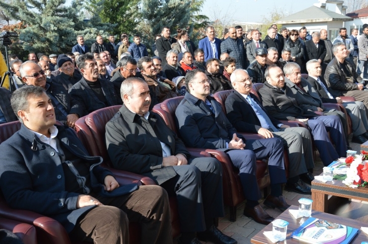 Çiftçilere Damızlık Koç Desteği