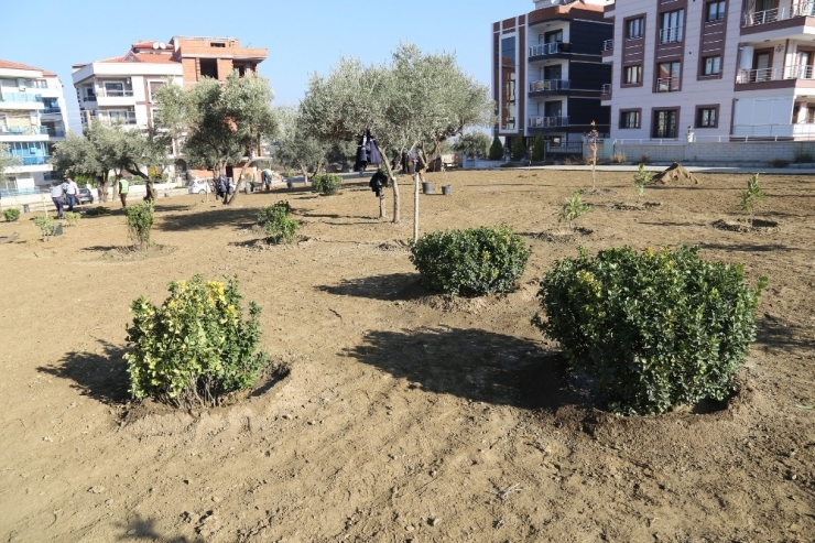 Turgutlu’da Ağaçlandırma Çalışması