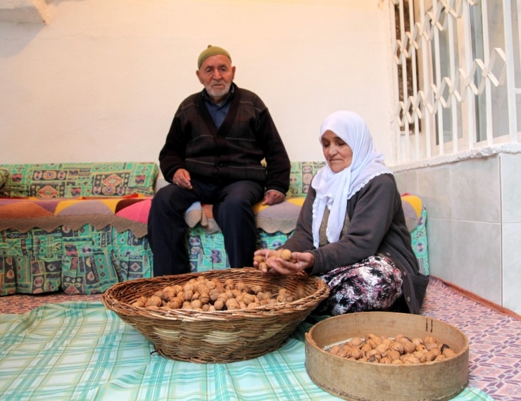 Türkiye’de Kilo İşi Satışı Yapılan Ceviz, Ahlat’ta Taneyle Satılıyor