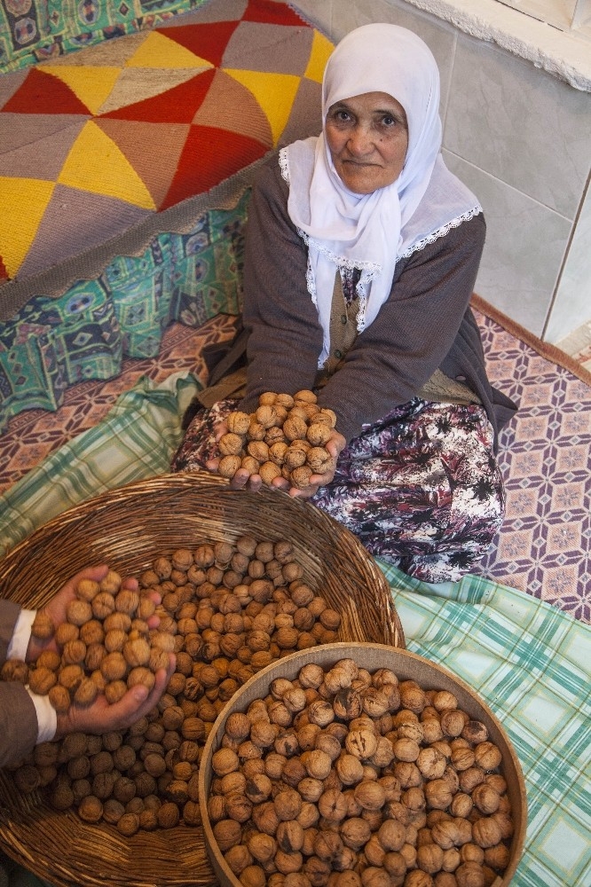 Türkiye’de Kilo İşi Satışı Yapılan Ceviz, Ahlat’ta Taneyle Satılıyor
