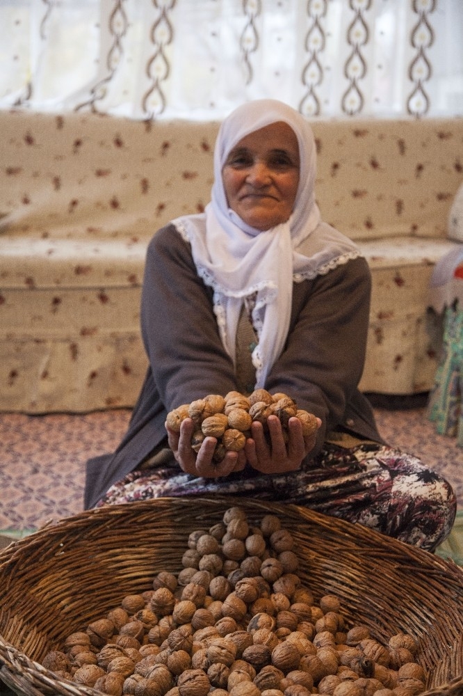 Türkiye’de Kilo İşi Satışı Yapılan Ceviz, Ahlat’ta Taneyle Satılıyor