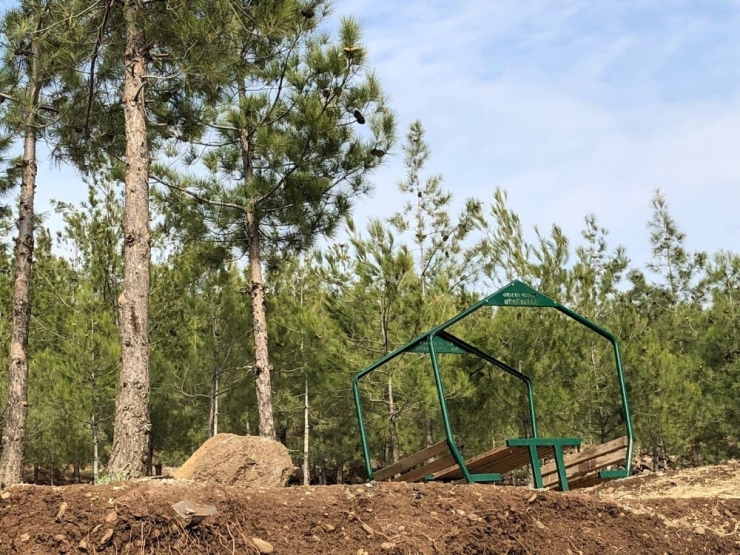 Mesire Alanında Zarar Verilen Banklar Onarılıyor