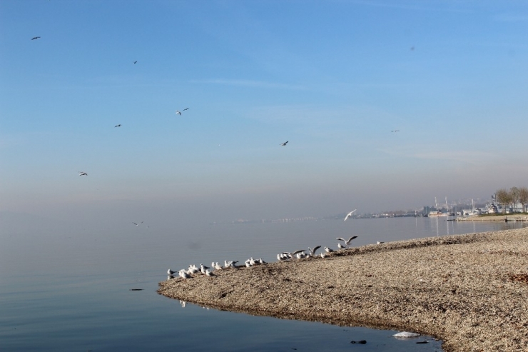 Kocaeli’deki Sıcaklık Yaz Günlerini Aratmıyor