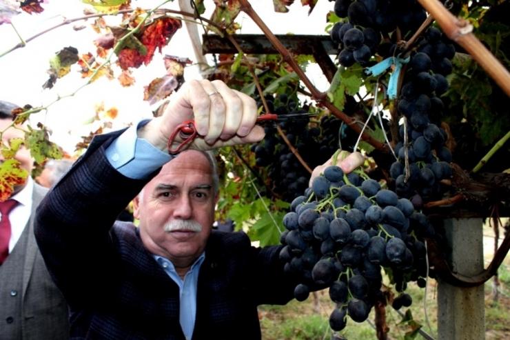 Ak Partili Berber’den Çiftçi Borçlarına Yapılandırma Müjdesi