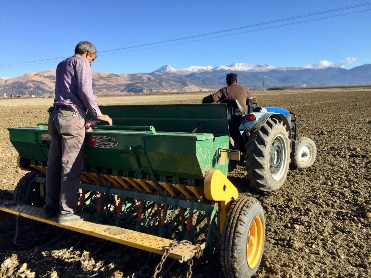 Antalya Buğdayını Arıyor Projesi