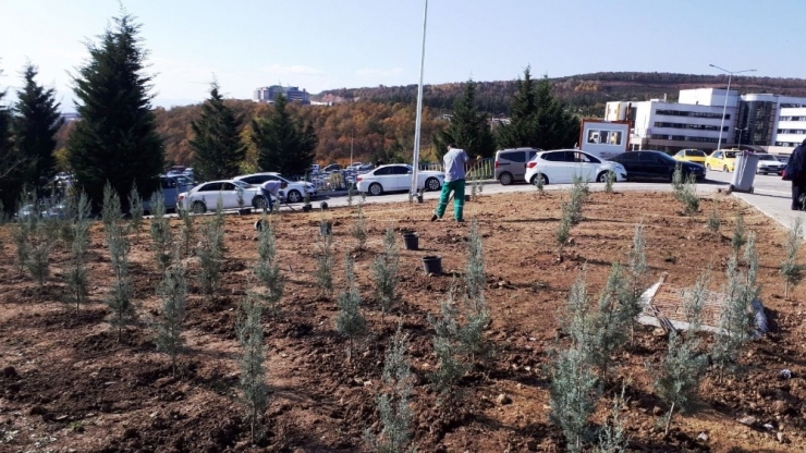 İzmit Belediyesi’nden Parklardaki Olumsuzluklara Anında Çözüm