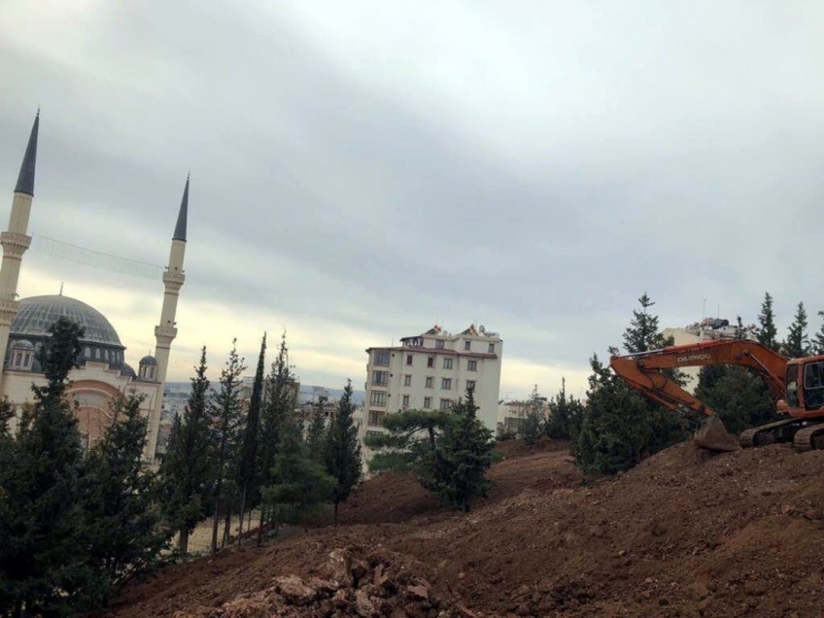 Kilis Kent Merkezine Bir Milyon Çiçek Dikiliyor