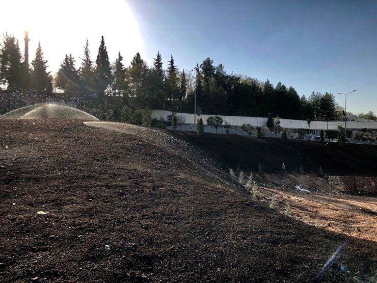 Kilis Kent Merkezine Bir Milyon Çiçek Dikiliyor