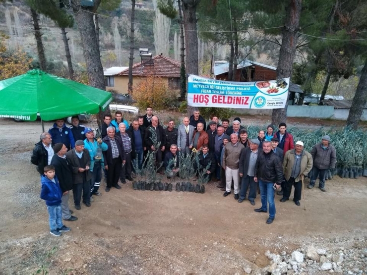 Demircili Üreticilere 30 Bin Fidan