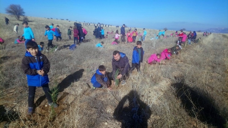 Öğretmenlerden 3 Bin 789 Fidan