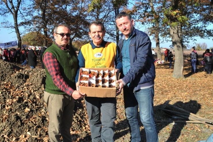 Tema’dan “Bir Niyet, Bin Tohum Projesi”