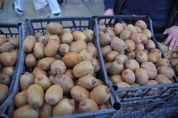 Akçakoca’da Pazarda Yerli Kivi Ve Mandalina Bolluğu