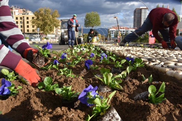 Alaşehir Çiçekle Renklendi